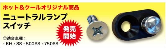 ニュートラルランプスイッチ