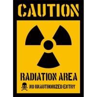 <img class='new_mark_img1' src='https://img.shop-pro.jp/img/new/icons33.gif' style='border:none;display:inline;margin:0px;padding:0px;width:auto;' />ڤ䤫Ʋǽ꡼