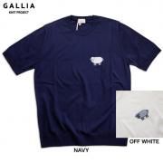 <img class='new_mark_img1' src='https://img.shop-pro.jp/img/new/icons2.gif' style='border:none;display:inline;margin:0px;padding:0px;width:auto;' />GALLIA KNIT PROJECT åꥢ ˥åȥץ  ץݥ ˥åT BOLTON̵ۡڥꥢۥ֥롼 ͥӡ  եۥ磻 