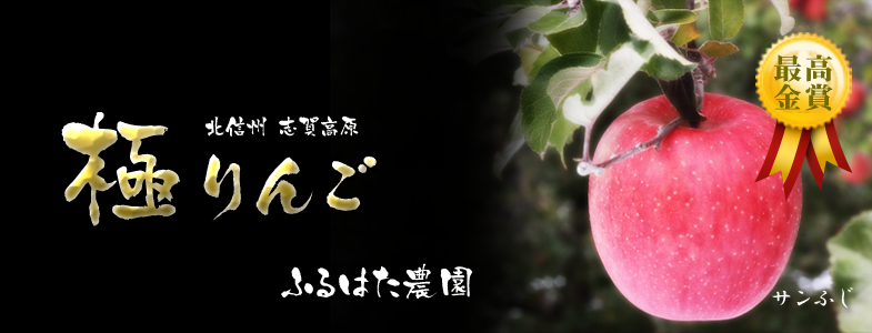極りんご ふるはた農園