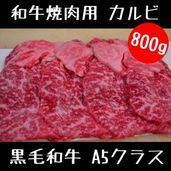 µ  800g 饤 å