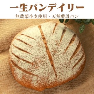 一生パンデイリー　〜一生パンの美味しさを日常仕様で〜