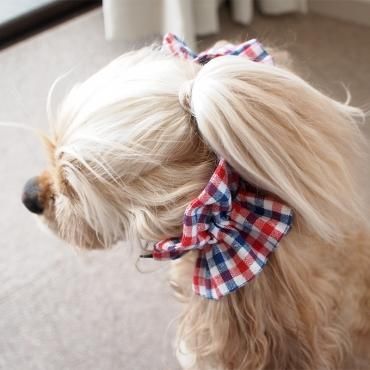 ボンボン イヤーシュシュ ギンガムチェックシリーズ レッド ブルー 無添加ドッグフードと犬用シャンプーのお店 ボンボン