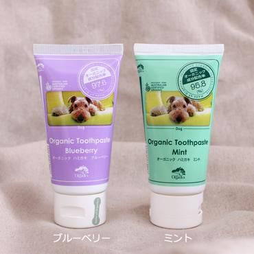 メイド オブ オーガニクス トゥースペースト ミント 犬用歯磨き粉 無添加ドッグフード専門店 ボンボン