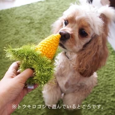 オーマ ロー 歯磨きおもちゃ トウモロコシ 野菜 無添加ドッグフード専門店 ボンボン