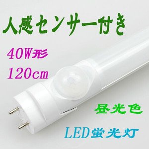 LED蛍光灯40W型 1198mm 昼光色(6000K) 人感センサー - lumi-tech