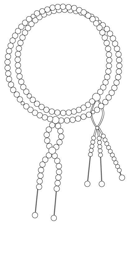 宗派別数珠の特徴 日蓮宗