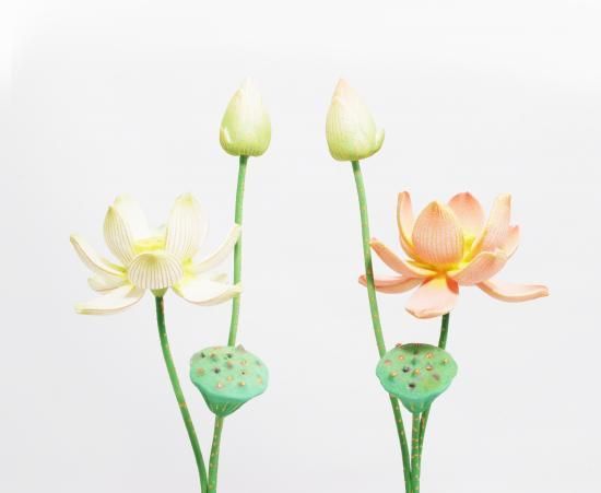 彩色 常花 三本立 - 仙台中居堂オンラインショップ 彩色 常花 三本立 - 仙台中居堂オンラインショップ