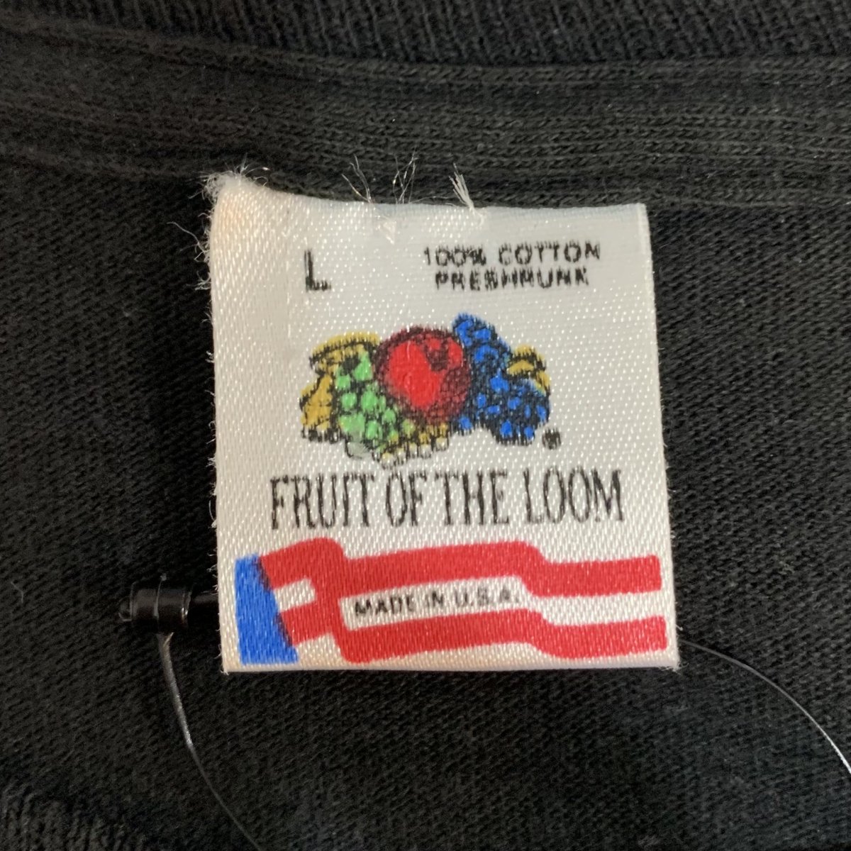 Tシャツ バスケットボール ライオン FRUIT OF THE LOOM古着