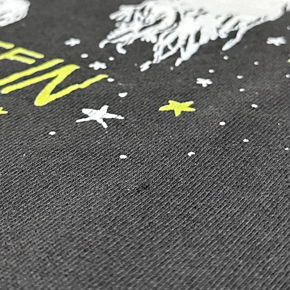 アインシュタイン プリントスウェット XLサイズ USA製90sボディ USA製 91年 CAFE EINSTEIN Print Sweatshirt 黒 XL 90s カフェ
