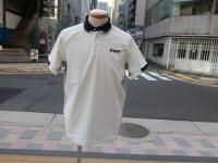 <img class='new_mark_img1' src='https://img.shop-pro.jp/img/new/icons14.gif' style='border:none;display:inline;margin:0px;padding:0px;width:auto;' />TFW49    line  sleeve aqua    polo    /    white