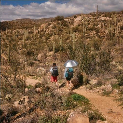 LIGHTREK HIKING UMBRELLA - 宗像山道具店 by GRIPS LIGHTREK HIKING UMBRELLA - 宗像山道具店 by GRIPS