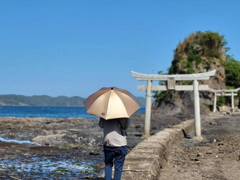 GOLD DOME ULTRALIGHT UMBRELLA - GRiPS/グリップス