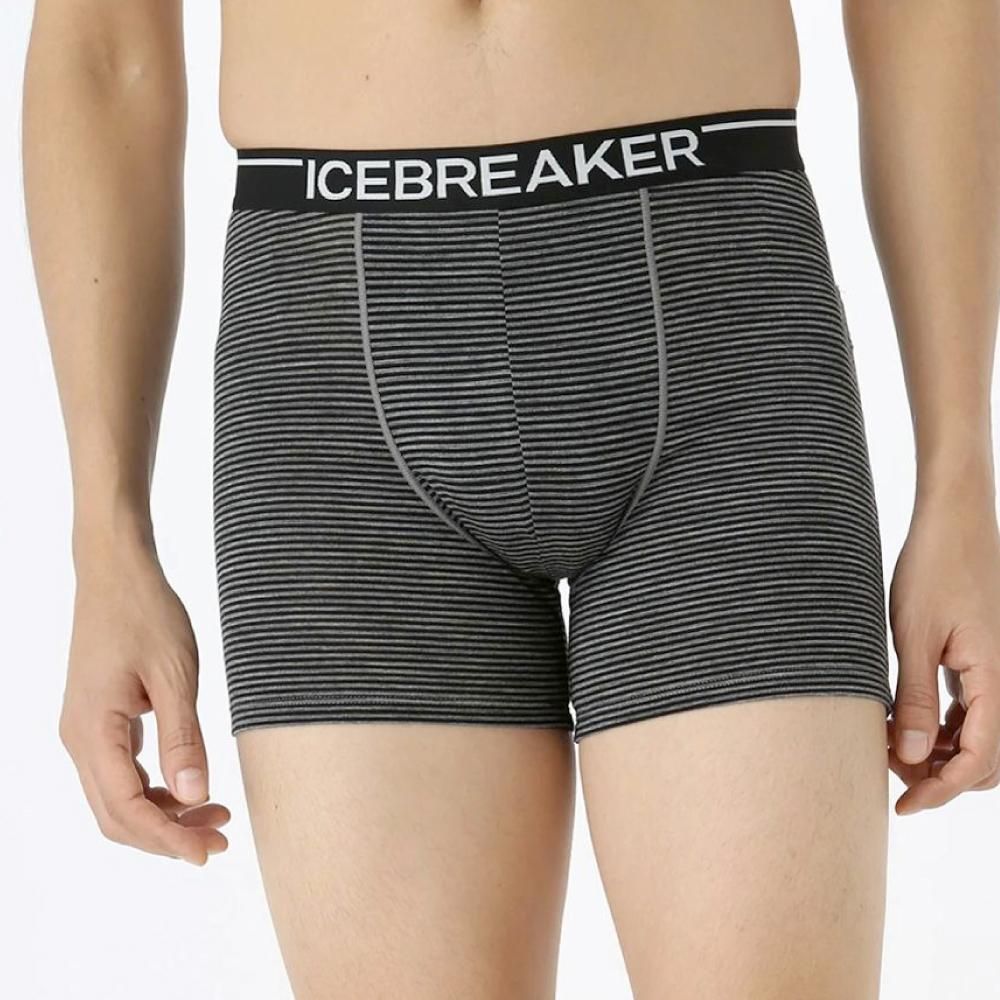 ICEBREAKER (アイスブレーカー) M ANATOMICA BOXERS W FLY