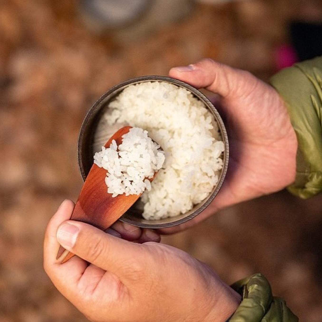 深山漆椀 菜 - 宗像山道具店 by GRIPS