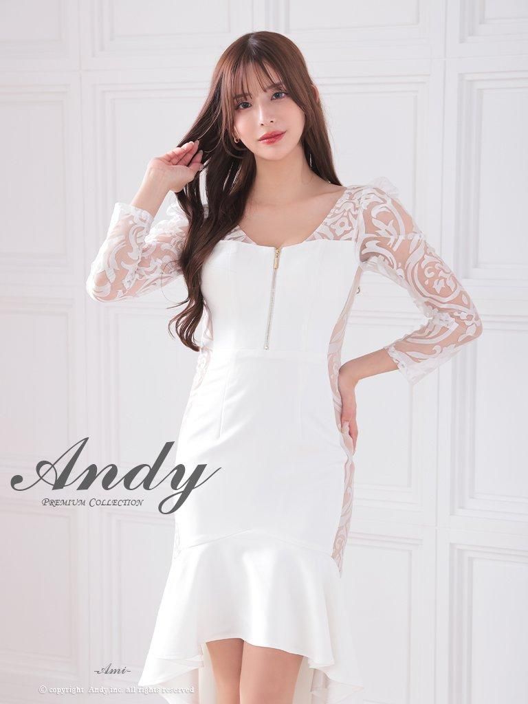 AN-ON2849 - 高級ドレスの仕入れ | Andy,inc. カスタマーサイト