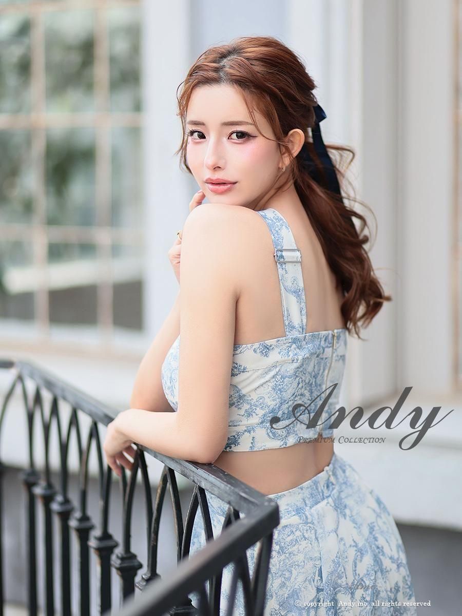 AN-ON2925 - 高級ドレスの仕入れ | Andy,inc. カスタマーサイト