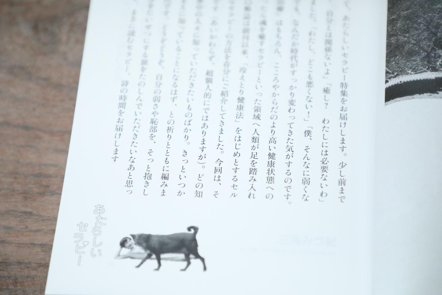 【25冊まとめ売り】マーマーマガジン、他 まぁまぁマガジン25号 | September Poetry