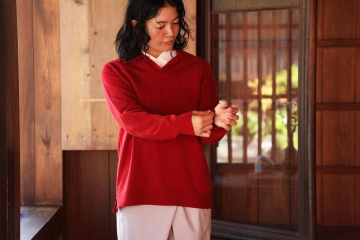 COSMIC WONDER Cashmere polo shirt<img class='new_mark_img2' src='https://img.shop-pro.jp/img/new/icons1.gif' style='border:none;display:inline;margin:0px;padding:0px;width:auto;' />