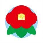 <img class='new_mark_img1' src='https://img.shop-pro.jp/img/new/icons5.gif' style='border:none;display:inline;margin:0px;padding:0px;width:auto;' />Ʀߥ֥ɡڥɥåץѥå8