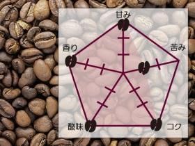 ⥫ʥϥ顼˥֥