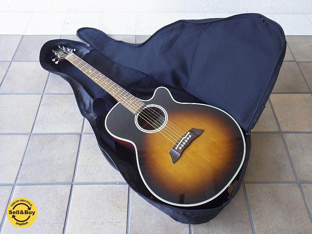 タカミネ TAKAMINE エレクトリック アコースティック ギター