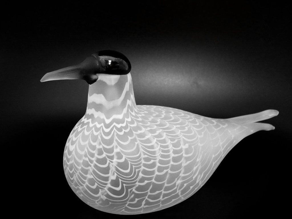 イッタラ iittala イッタラバード Species of Tern 406/3000 オイバ