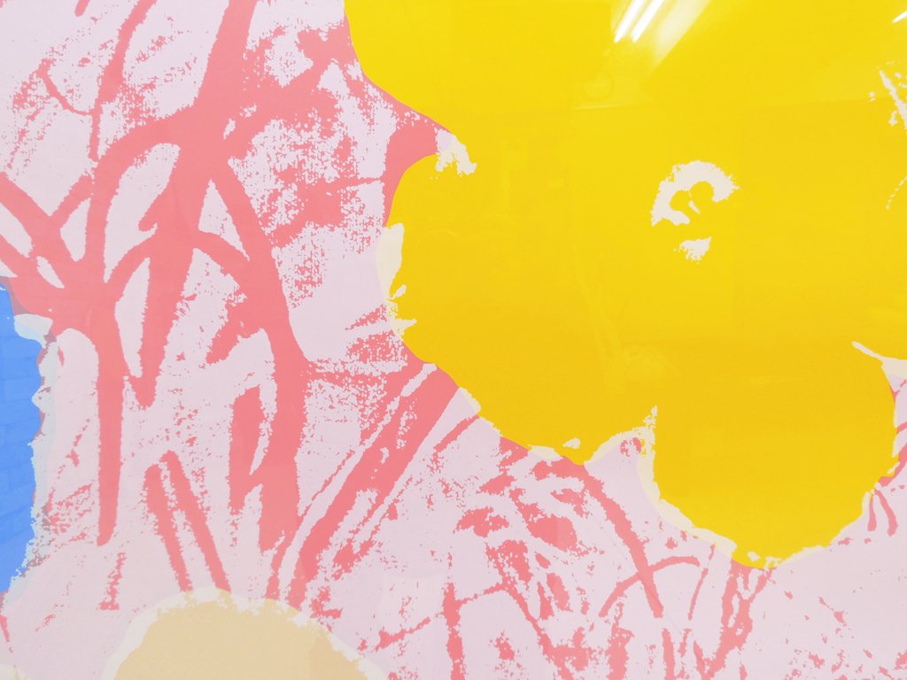 ǡB⡼˥ Sunday B.Morning ǥۥ Andy Warhol ե Flowers 11.70 륯꡼   