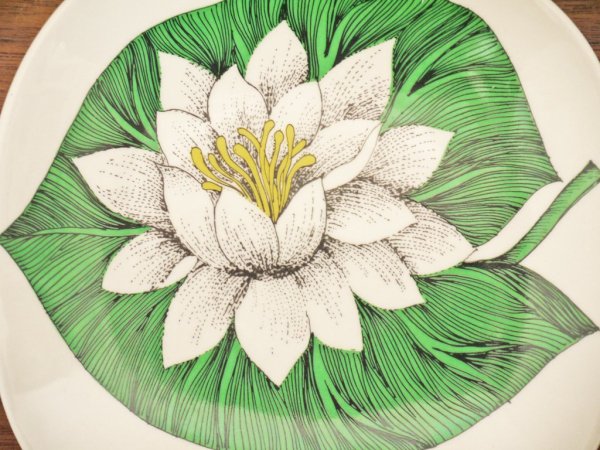 ӥ ARABIA ܥ˥ Botanica ץ졼 12.1cm 襦 nymphaea alba ƥꡦȥ ӥơ ե 