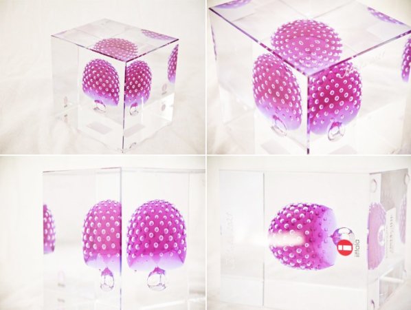 å iittala ˥奢륭塼 Annual Cube 2021ǯ 271/2000 Сȥå Oiva Toikka Ȣ  
