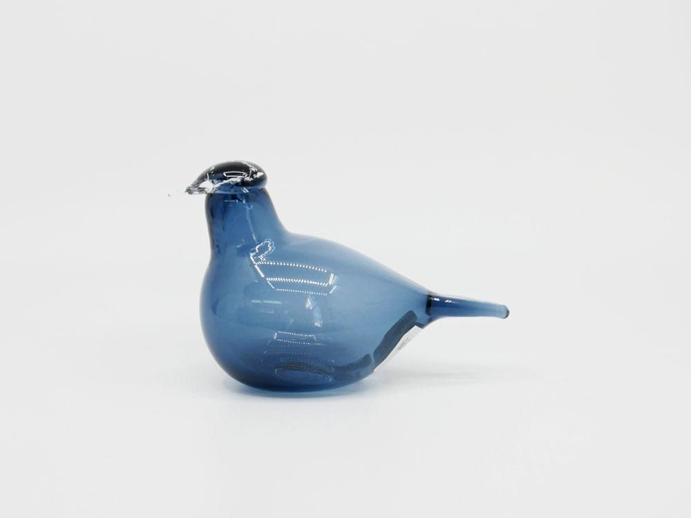 イッタラ iittala イッタラバード リトルターン Little Tern レイン 