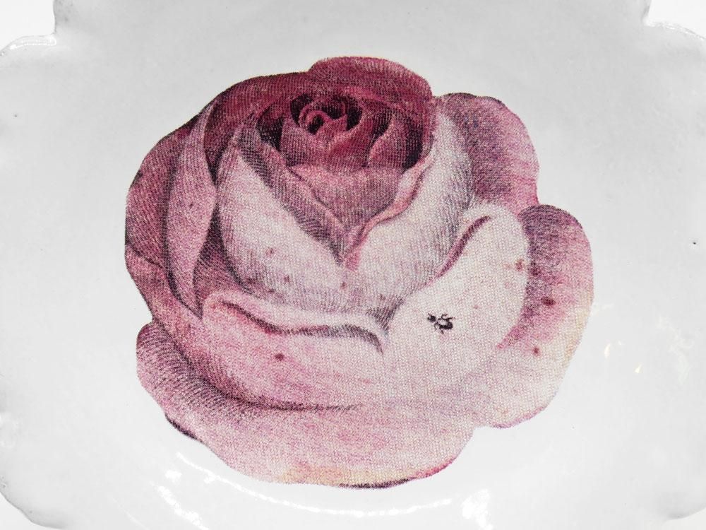 アスティエ・ド・ヴィラット ジョンデリアン バラの小皿 欠けあり