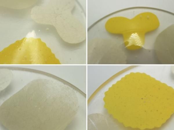 八木麻子 プレート 八木麻子☆プレート・リース 食器