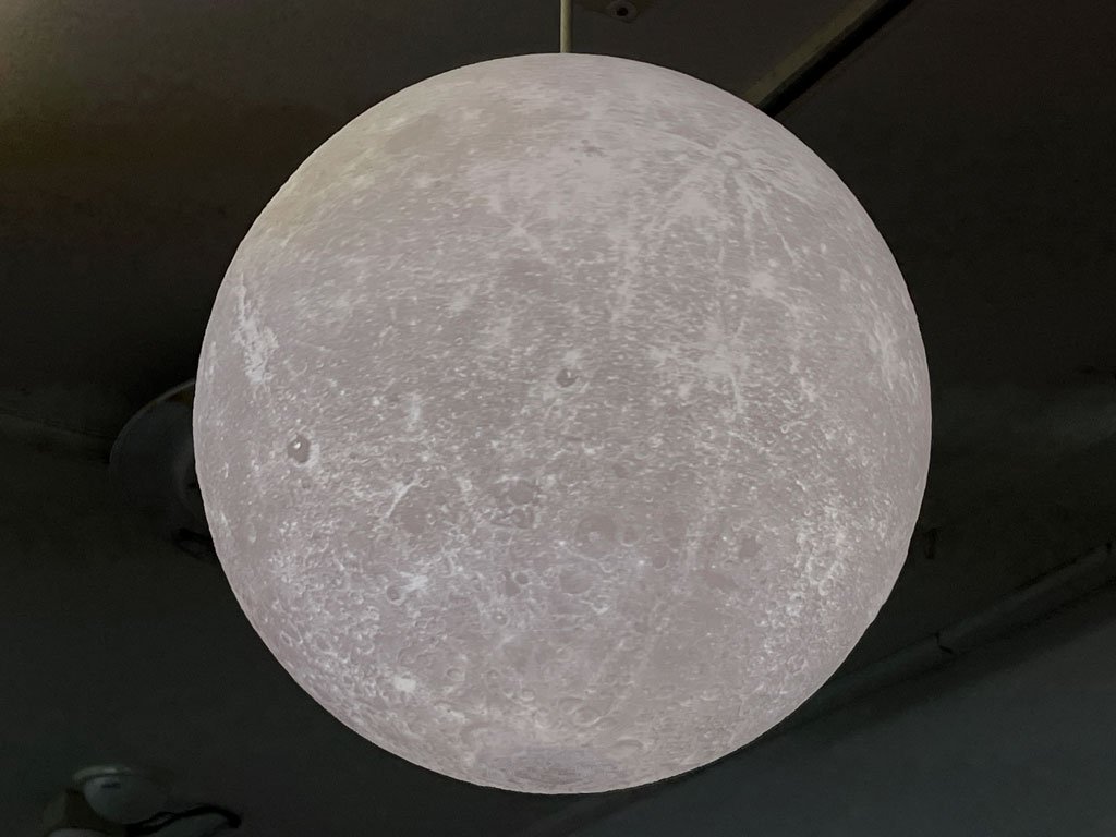 쾺  ʥץ饤ޥ Luna Primal ڥȥ  ڥȥ 35cm ⥳ Ĵǽ ز ޡǽ  