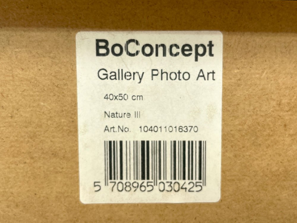 ܡ󥻥ץ BoConcept ꡼եȥ Gallery Photo Art ͥ㡼 Nature 3 ѥͥ 롼ǥ졼 ǥޡ 