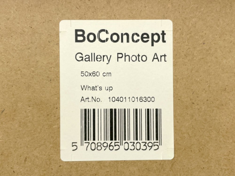 ܡ󥻥ץ BoConcept ꡼եȥ Gallery Photo Art åĥå What's up ѥ 롼ǥ졼 ǥޡ 