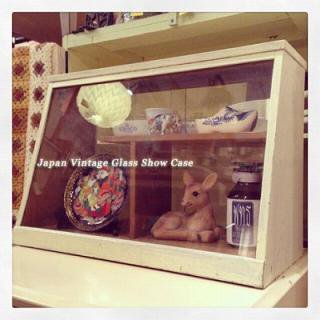   Japan Vintage  GlassShow Case / ѥӥơ 饹硼
