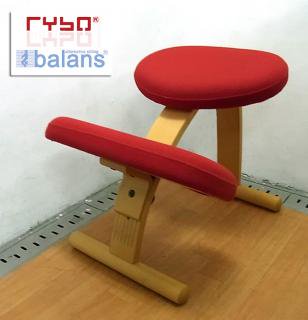 Norway Rybo  ܼ    Х󥹥  Balans EASY  Х󥹥   İ餷åɥ顼 