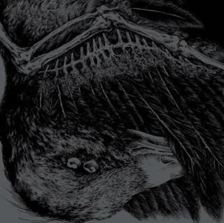 War・Bestial Black - はるまげ堂レコードショップ