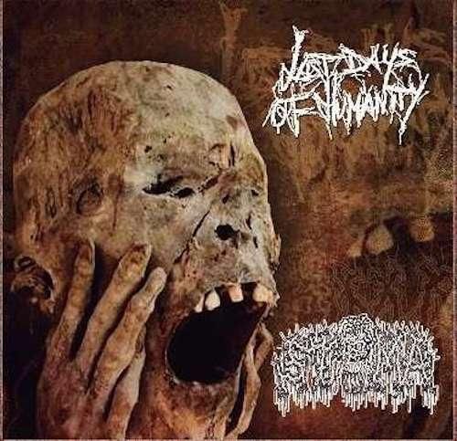 LAST DAYS OF HUMANITY / STOMA / Split (CD) - はるまげ堂レコード