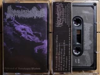 DOOM Recommendation - はるまげ堂レコードショップ