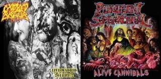 GORE GRIND Recommendation - はるまげ堂レコードショップ