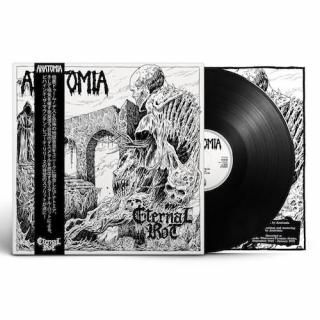 HARD ROCK/HEAVY METAL,DOOM/STONERの 中古CDの新着リストを公開