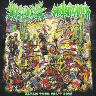 GRIND CORE Recommendation - はるまげ堂レコードショップ