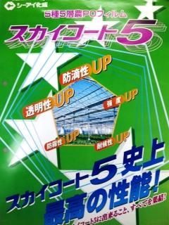 スカイコート5 Poフィルム 厚み0 13 最安値 篠原商店 スカイコート5 Poフィルム 厚み0 13 最安値 篠原商店