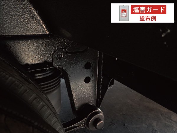 新発売 イチネン NX966 塩害ガード専用ガン アダプター付き