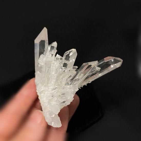 『 洗練の結晶 』