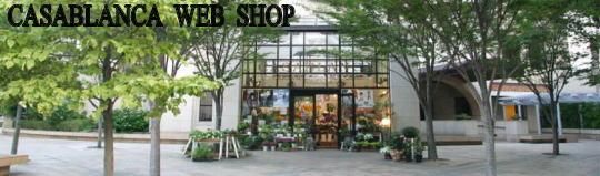   CASABLANCA   WEB  SHOP