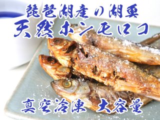 琵琶湖産 天然ホンモロコ1kg【真空パック冷凍配送】