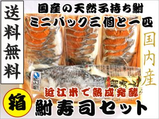 近江米でじっくり熟成発酵させた国産の天然子持ち鮒寿司1匹（サイズ各種あり）とスライス済ミニサイズ3パックのギフトセット